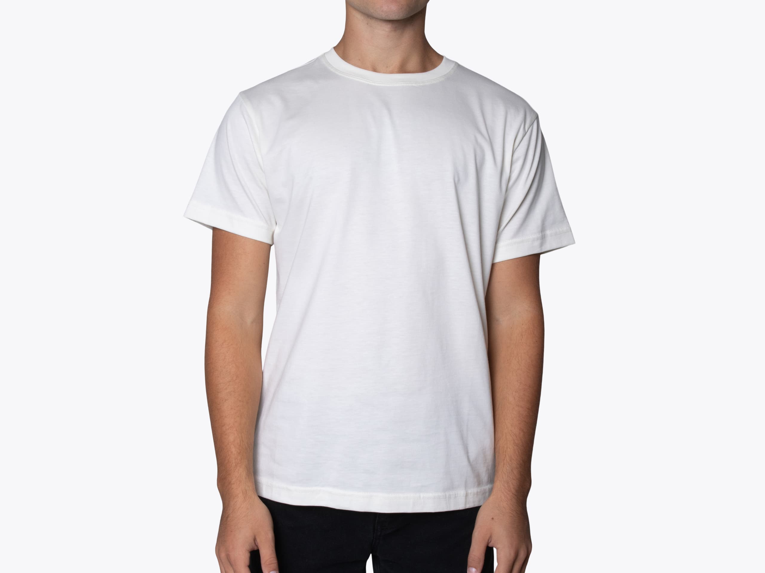 Original Favorites SUPTEE American Grown Supima Cotton T-Shirt in Natural (model:male, size:medium, view:front)